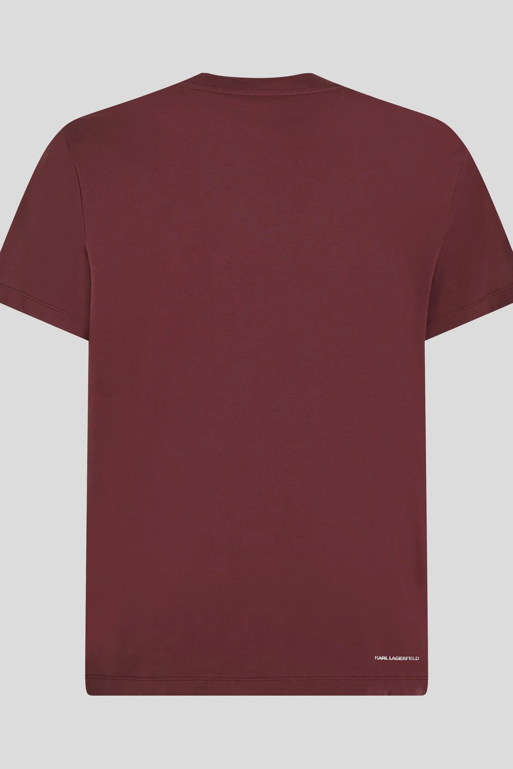 Essential Shiny Logo T-Shirt*