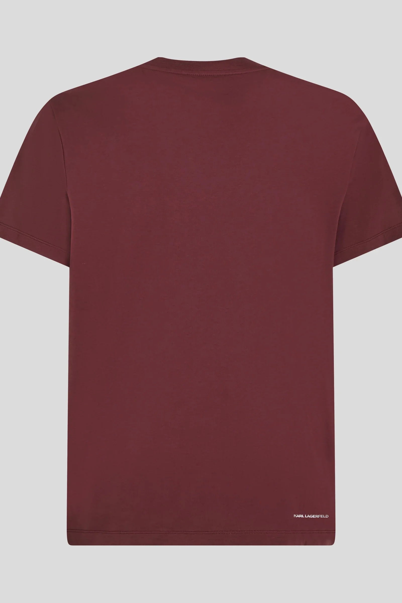 Essential Shiny Logo T-Shirt*