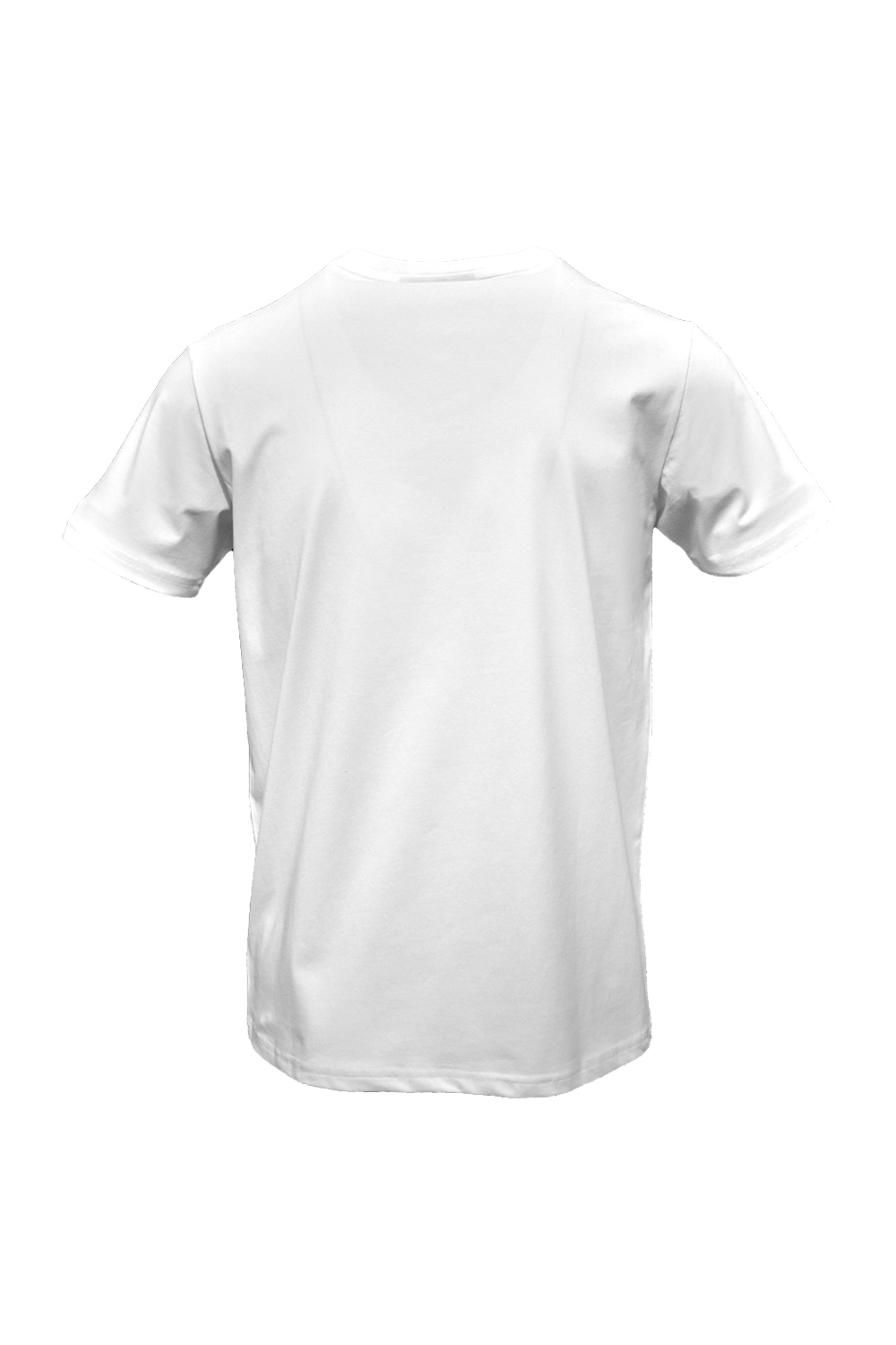 Bold T-Shirt*