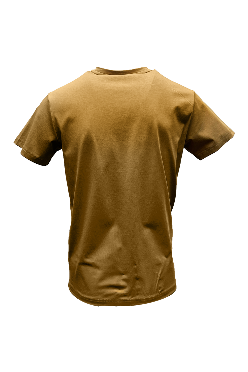 Bold T-Shirt*
